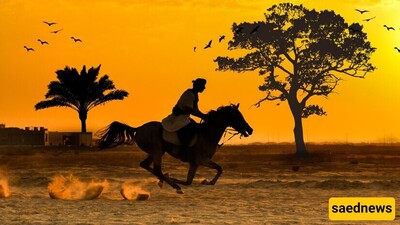 Horseback Riding and Principles of Equestrianism