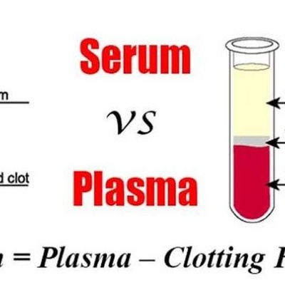 Do You Know the Difference Between Serum and Plasma?