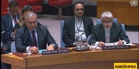 Security Council Should Not Ignore Israel's Continued Destabilizing Actions in Syria: Iran