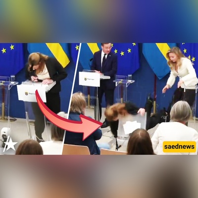 (VIDEO) Swedish Health Minister Collapses During Press Conference: What Happened on Day One