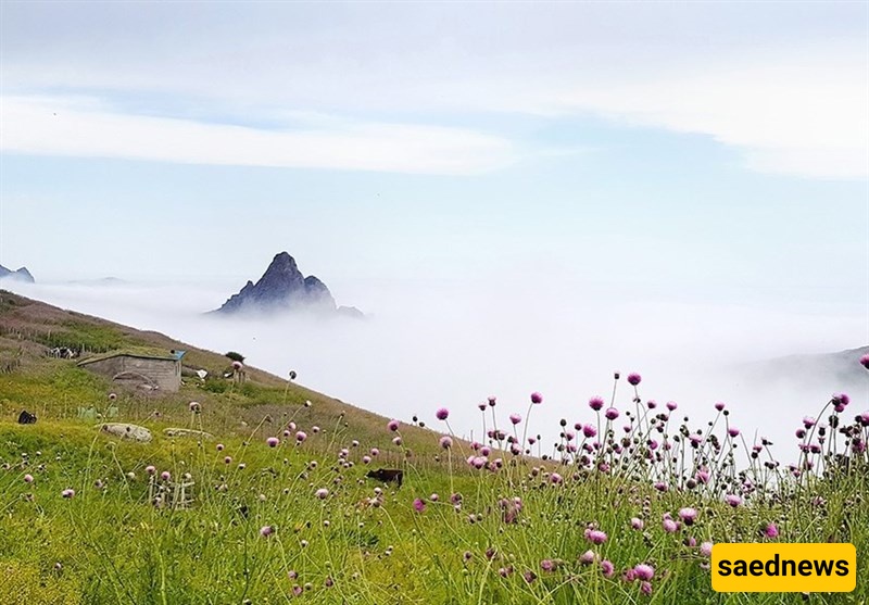 Choubar Countryside: A Heavenly Escape Above the Clouds
