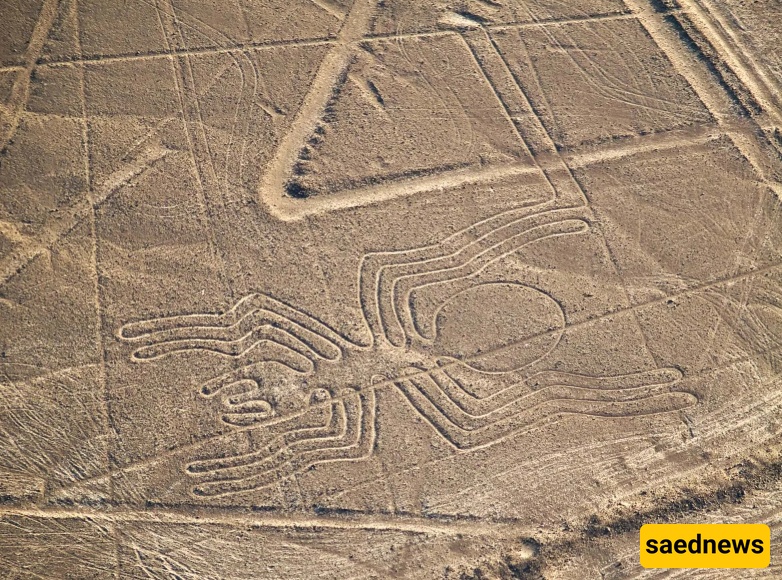 The Nazca Lines