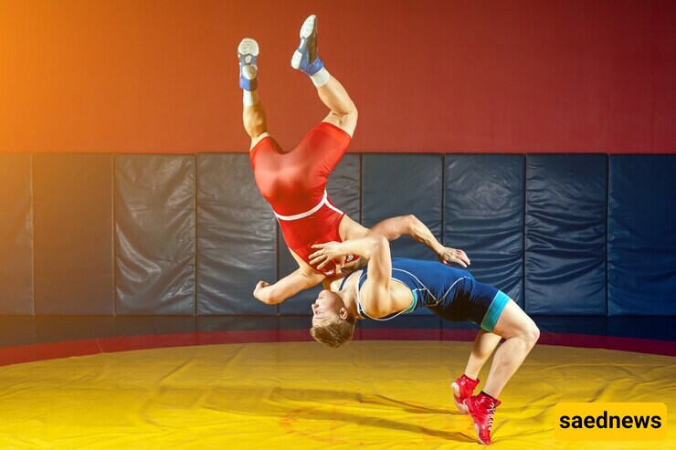 Introduction to Freestyle Wrestling Rules