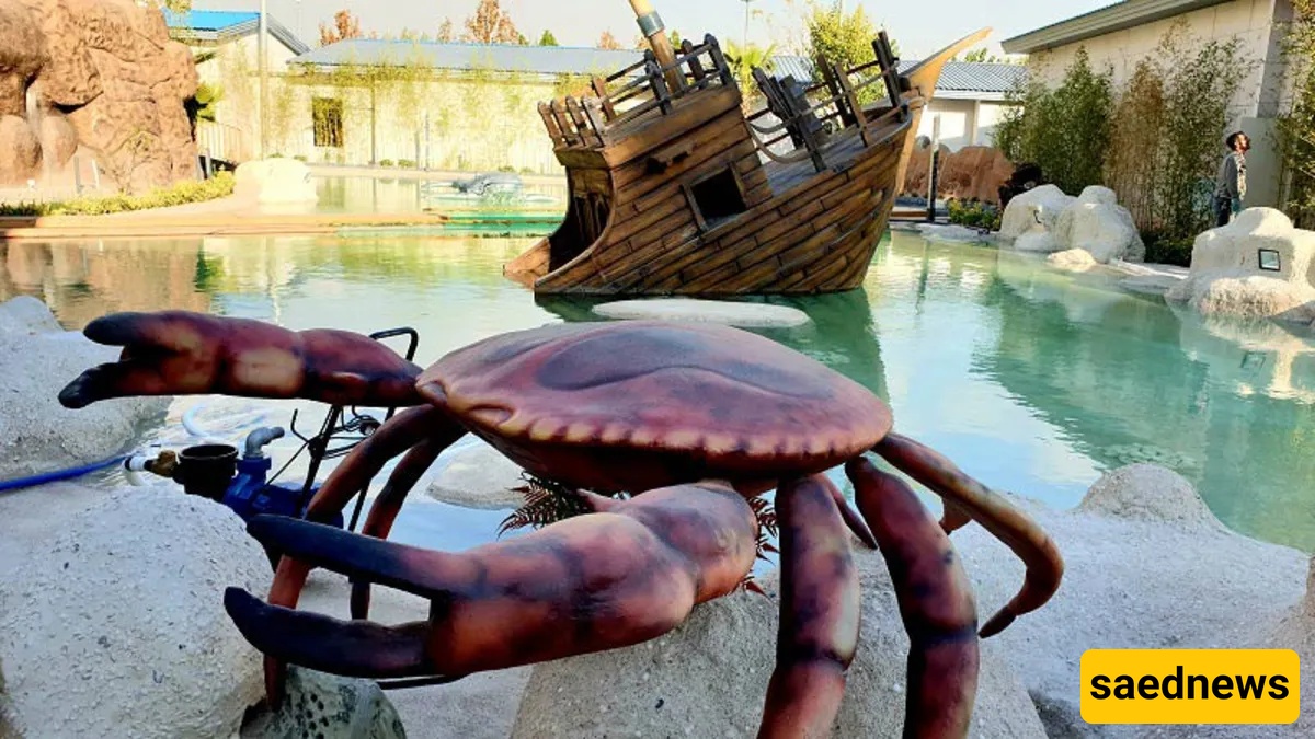 ocean park