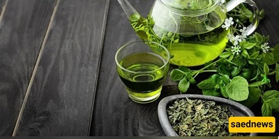 Grandmothers and Grandfathers Should Use This Type of Tea; A Vitamin-Rich Memory Booster