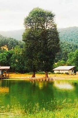 Walking in Estakhrgah Village, a Lost Paradise in the Heart of Roudbar / Just Seeing It Will Refresh Your Soul 😍 + Video