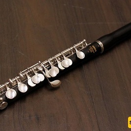 Complete Introduction To The Piccolo Flute 🎵🦯