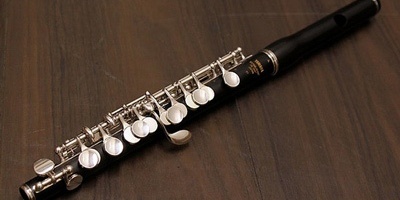 Complete Introduction To The Piccolo Flute 🎵🦯