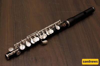 Complete Introduction To The Piccolo Flute 🎵🦯