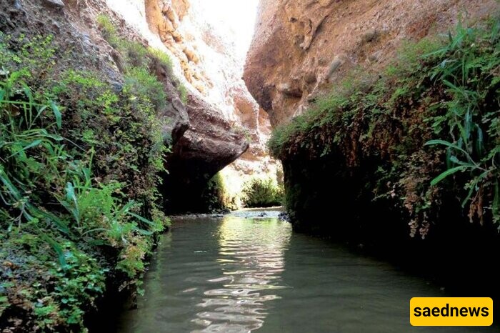 (Photos) Qahan Gorge: A Four-Season Paradise in the Heart of Qom's Desert