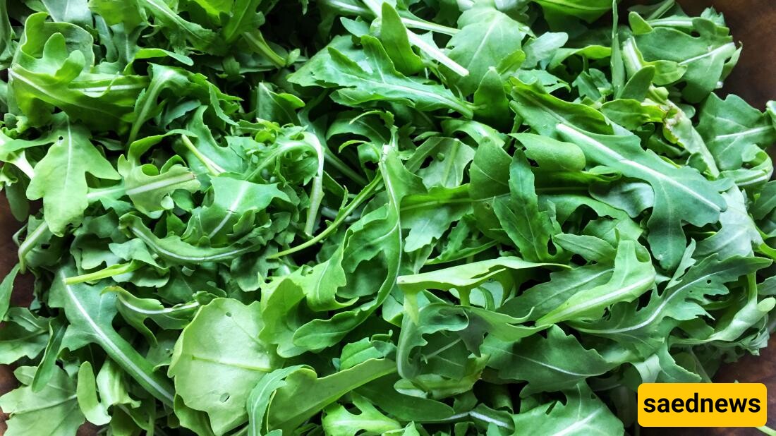  Arugula