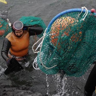 South Korean Women Diving Without Any Equipment