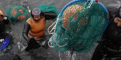 South Korean Women Diving Without Any Equipment