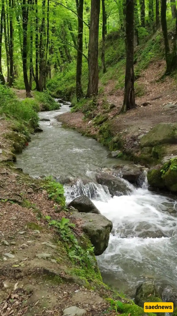 kordkuy