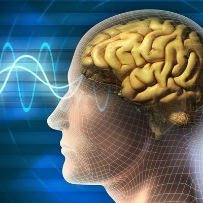 8 Reasons That Cause Memory Loss