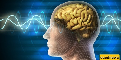 8 Reasons That Cause Memory Loss