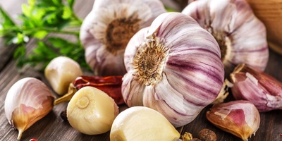 New Secret Of Garlic Discovered; Aged Garlic Slows The Muscle Aging Process