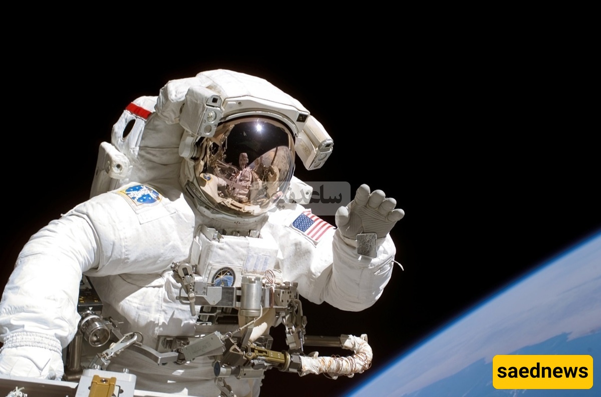 Seven Mysterious Creatures in Space: Fact or Russian Cosmonauts’ Fiction?