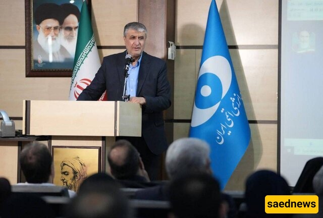 Health, Food Security is AEOI’s Priority: Eslami