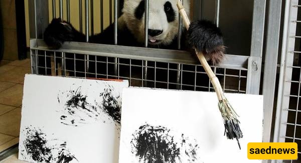 Artist Panda