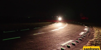 Why Do Road Lines Look Brighter at Night?