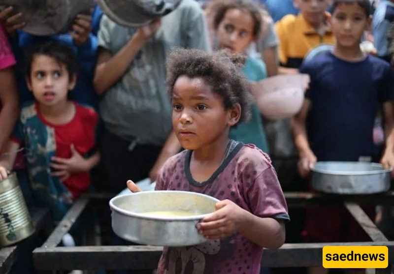 Int’l Charities Demand Shutdown of Israeli-Backed Gaza Aid Group over Deadly Repression