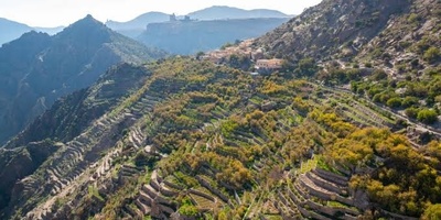 Where is Jebel Akhdar? Everything You Need to Know Before You Go