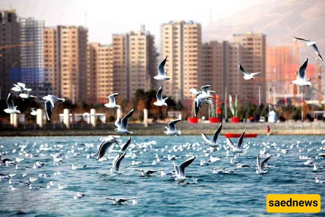 Chitgar Park 