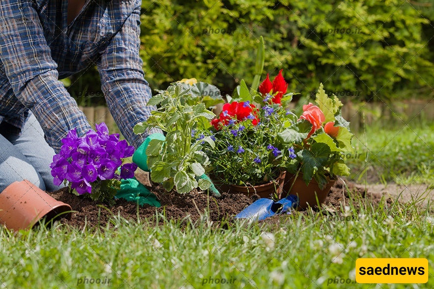 Stunning Creativity: An Artist Turns an Old Umbrella into a Blooming Garden—Just Like a Colorful Childhood Painting Full of Joy!
