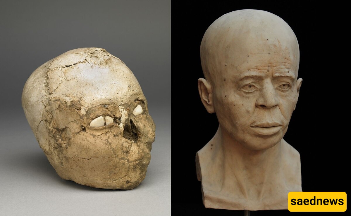The Strangest and Most Amazing Skulls Discovered In the Middle East / Unraveling A Mystery + Photo
