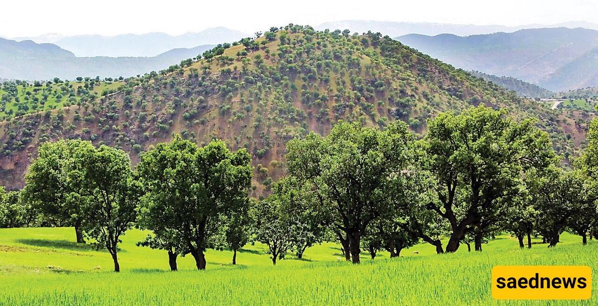 Spring Nature of Kurdestan: A Blooming Paradise in Iran