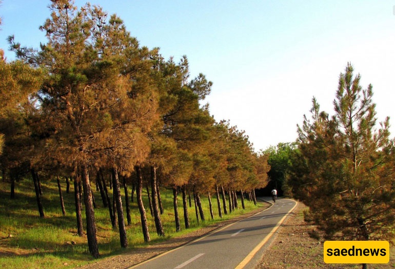 Chitgar Park 