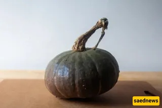 Roasted Squash & Tofu 