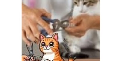 Cats' Toxic Reactions While Getting Their Nails Trimmed (Only The Last One!)