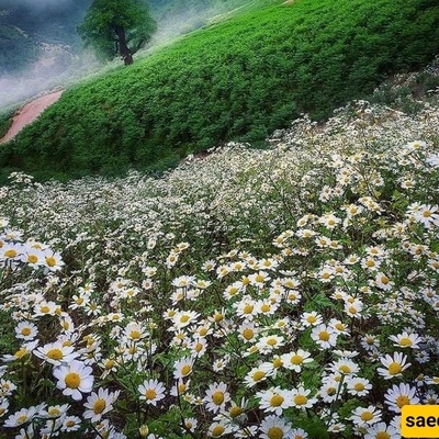 7 of Iran’s Most Heavenly Destinations with Untouched Nature, Unique Architecture, and Enchanting Scenery — Perfect for Traveling in Khordad (June)
