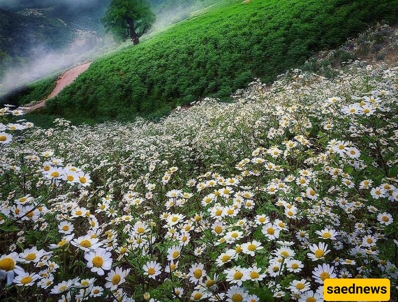7 of the Most Heavenly Places in Iran with Pristine Nature, Unique Architecture, and Magical Sceneries / Special for Traveling in Khordad (June)