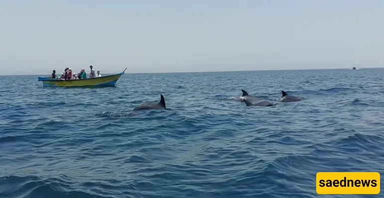 Silver Beach, Qeshm