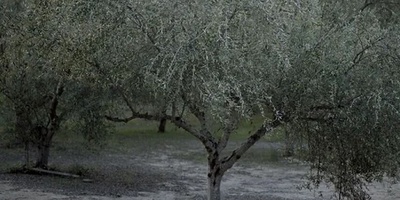 A Treasure-Filled Tomb Discovered in an Olive Grove