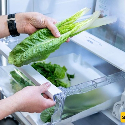 How to Keep Lettuce Fresh in the Fridge for Up to One Month