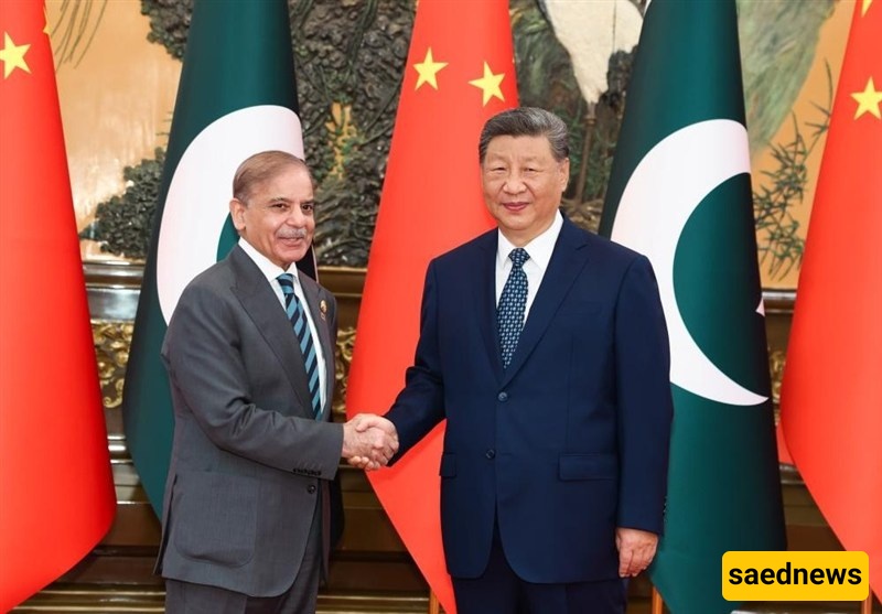 Strong China-Pakistan Ties Conducive to Regional Peace: Xi Tells Premier Sharif