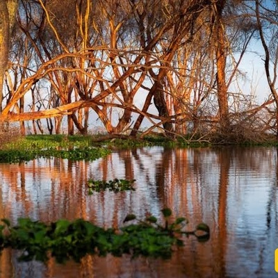 Where Is Lake Naivasha? | Travel Guide + Photos