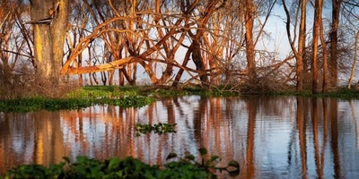 Where Is Lake Naivasha? | Travel Guide + Photos