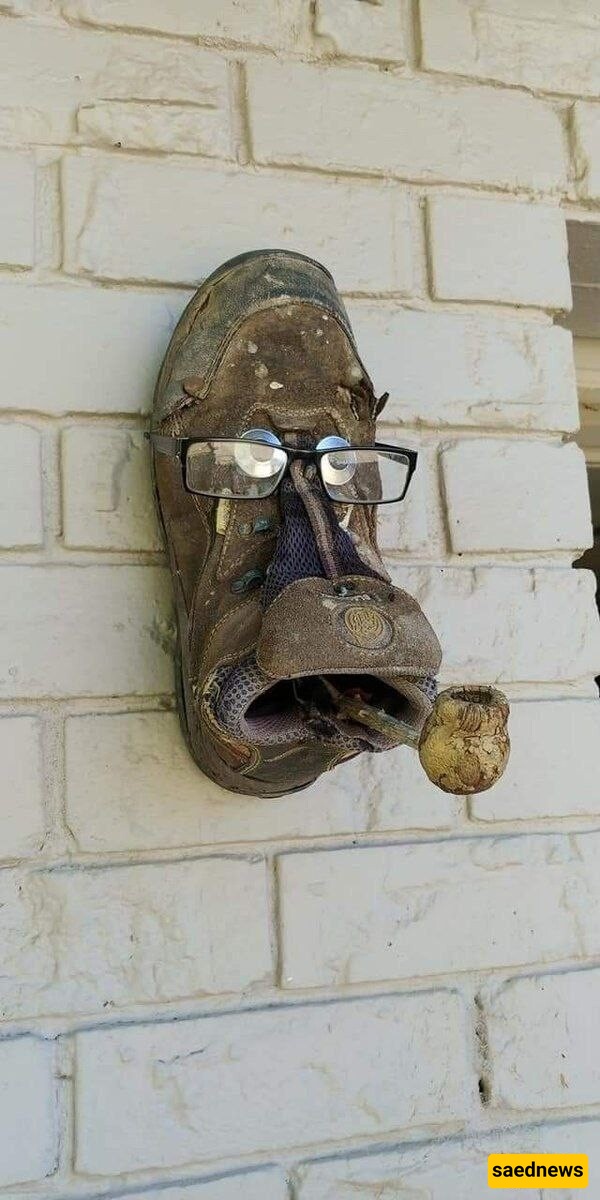 Creativity 