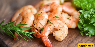 The Islamic Ruling on Eating Shrimp: A Comprehensive Jurisprudential Study Across Major Islamic Schools of Thought