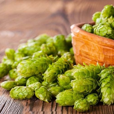 Properties and Side Effects of Hops
