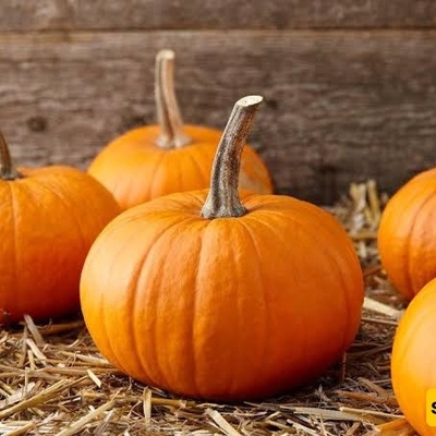 Best Ways to Store Pumpkin and a Guide to Buying the Perfect Pumpkin