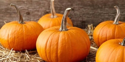 Best Ways to Store Pumpkin and a Guide to Buying the Perfect Pumpkin