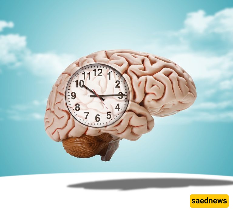 The Brain Needs Time To Adjust