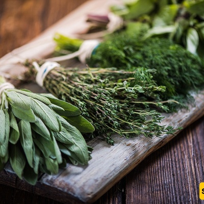 The Simple Storage Trick That Can Keep Fresh Herbs From Wilting So Quickly