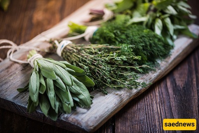 The Simple Storage Trick That Can Keep Fresh Herbs From Wilting So Quickly